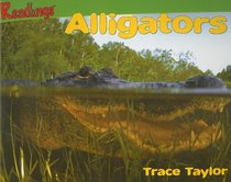 Alligators (Readlings)