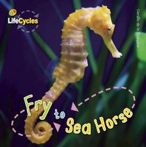 Fry to Seahorse (LifeCycles)
