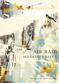 Air Raid (Seagull Books - The German List)