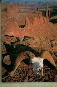 Canyonlands: Wilderness of Rocks (10x13 Series)