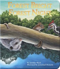 Forest Bright, Forest Night (A Simple Nature Book)
