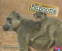 Baboons (Monkeys)