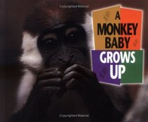 A Monkey Baby Grows Up (Baby Animals)