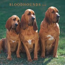 Bloodhounds 2008 Square Wall Calendar