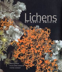 Lichens of North America