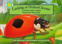 Ladybug At Orchard Avenue (Smithsonian's Backyard)