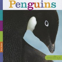 Penguins (Seedlings)