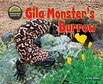 Gila Monster's Burrow (Science Slam: The Hole Truth)