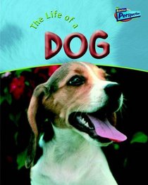 The Life of a Dog (Raintree perspectives)