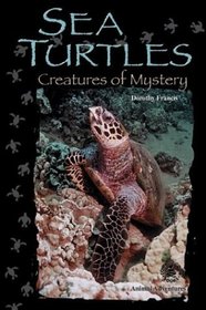 Sea Turtles: Creatures of Mystery (Cover-to-Cover Chapter Books: Animal Adv.-Water)