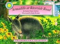 Armadillo at Riverside Road (Smithsonian's Backyard)