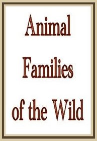Animal Families of the Wild Gl