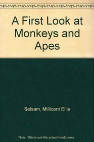 A First Look at Monkeys and Apes