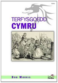 Terfysgoedd Cymru (Tipyn O'n Hanes) (Welsh Edition)