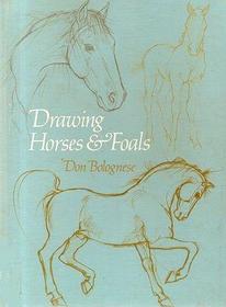 Drawing Horses and Foals (How to Draw)