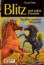 Rivalen werden Freunde (Wild Spirit) (Young Black Stallion, Bk 4) (German Edition)