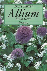 Allium, Zierlauch.