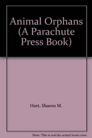 Animal Orphans (A Parachute Press Book)