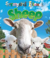 Sheep (Farmyard Friends)