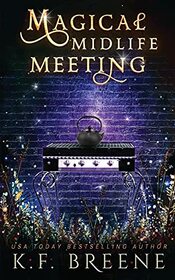 Magical Midlife Meeting (Leveling Up, Bk 5)