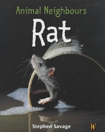 Rat (Animal Neighbours)