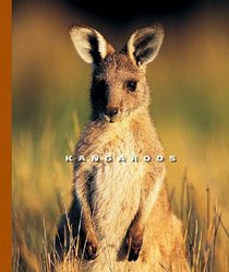 Kangaroos (The World of Mammals)