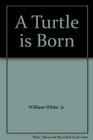 A Turtle Is Born