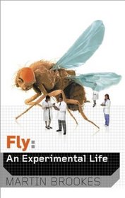 Fly: An Experimental Life