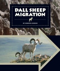 Dall Sheep Migration (Animal Migrations)