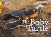 The Baby Turtles: Band 03/Yellow (Collins Big Cat)