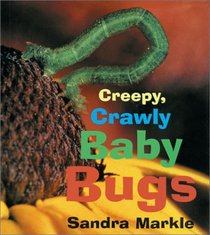 Creepy, Crawly Baby Bugs