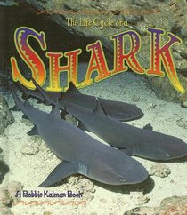 The Life Cycle of a Shark (The Life Cycle)