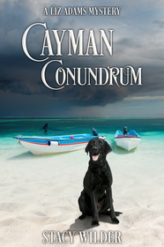 Cayman Conundrum (Liz Adams, Bk 4)