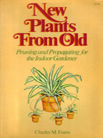 New plants from old: Pruning and propagating for the indoor gardener