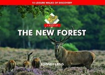 A Boot Up the New Forest