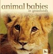 Animal Babies in Grasslands (Animal Babies)