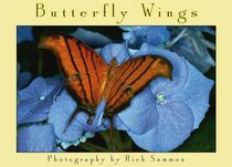Butterfly Wings Boxed Notes