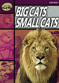 Big Cats, Small Cats: Stage 1 set A