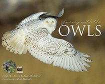 Journey with the Owl: A Photographic Exploration Through Field & Forest