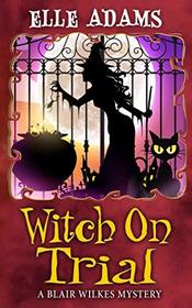 Witch on Trial (A Blair Wilkes Mystery)