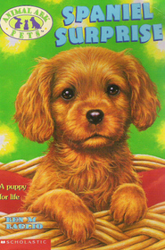 Spaniel Surprise (Animal Ark Pets, Bk 24)