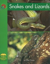 Snakes and Lizards (Yellow Umbrella Books: Science - Level B)