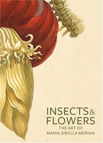 Insects and Flowers: The Art of Maria Sibylla Merian