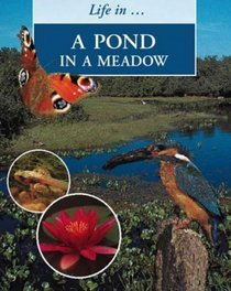Pond in a Meadow (Life in a ...)