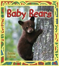 Baby Bears (It's Fun to Learn About Baby Animals)