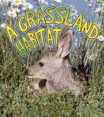 A Grassland Habitat (Introducing Habitats)