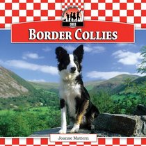 Border Collies (Dogs)