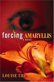 Forcing Amaryllis