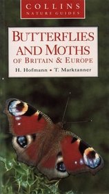 Butterflies Amd Moths of Britain and Europe (Collins Nature Guide)