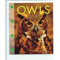 Owls (Newbridge discovery links)